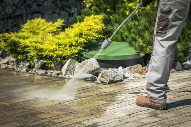 Best Dumpster Area Cleaning  in Haviland, NY