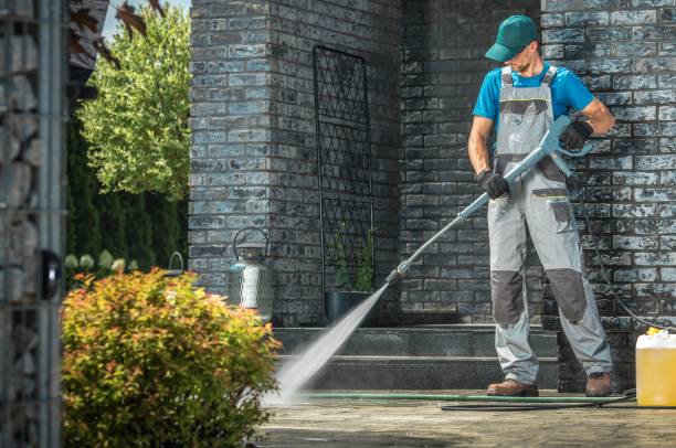 Animal Enclosure Cleaning in Haviland, NY